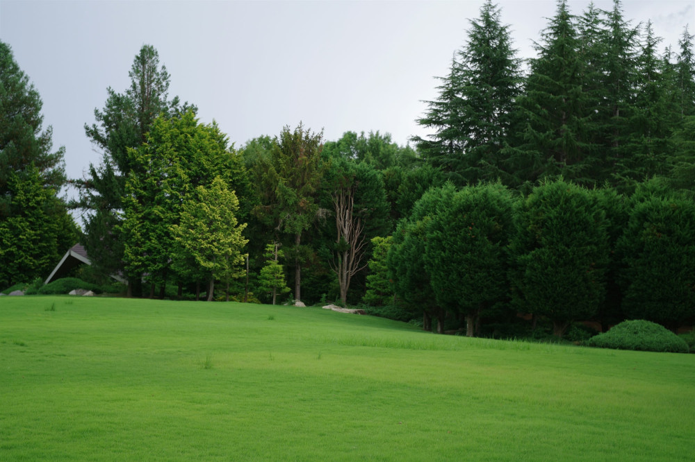 Hemmeligheder om golf og miljøet, du ikke kender til!