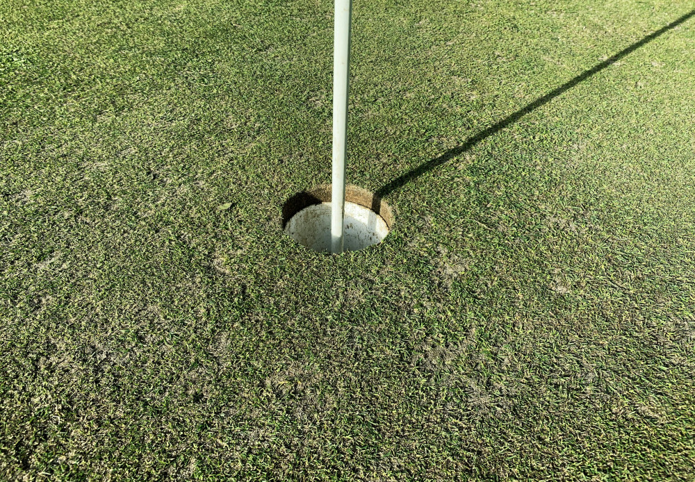Vild med golf? Sådan forbedrer du dit golfswing nu!